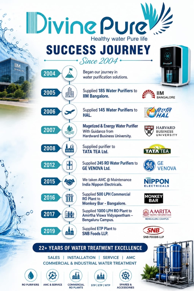 Divine Pure Success Journey